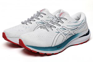 Tênis Asics Gel Kayano 29 - Branco e Azul - Masculino